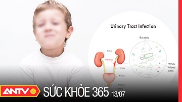 Thế nào là nhiễm trùng đường tiểu ở trẻ em? Nguyên nhân và cách nhận biết, điều trị | Sức khỏe 365