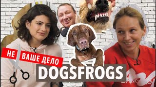 Бизнес на миллионы с хвостиком - DOGSFROGS #НеВашеСобачьеДело