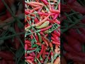 Red chili at market place shorts asmr spicy