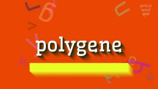 How to say "polygene"! (High Quality Voices)