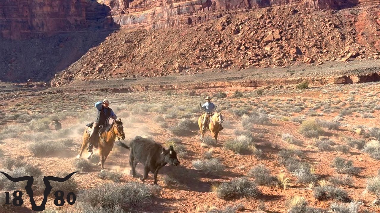 Working Horseback In The Desert