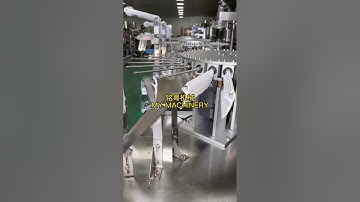 dental floss sachet packing machine tooth pick bag pacakging machine