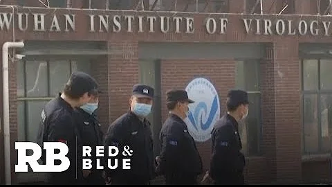 Expert discusses report on Wuhan COVID-19 cases, latest on vaccine - DayDayNews