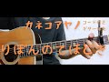 【ギターコード付き】カネコアヤノ/りぼんのてほどき【アコギ弾いてみた】