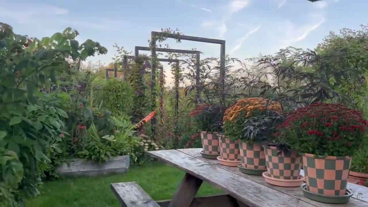 Kom på en visuel rundtur i Mathias Emils kolonihave