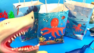 Surprise Bags with Sea Animal Toys for Kids with Names in English