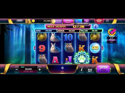 Casino 2024 | साउथ की ब्लॉकबस्टर थ्रिलर अब हिंदी में | Nirab Hossain, Shabnam Bubly, Taskeen Rahman.