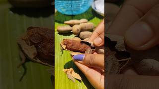 tatul makha #trending #subscribe #food