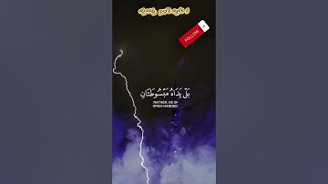 تلاوة خاشعة #الذكر #المصحف #الصلاة_على_النبي #نبض_التسبيح #قرآن #قران_كريم