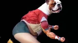 මාව හොස්පිටල් දාන්න අයියෝ ලංකාවේ පලවෙනි meme Coin එක විනාඩියෙන් buy කරමු! Srilankas first meme HDA