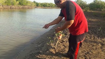 mancing kepiting di muara pake racikan tutup botol boskuh..?