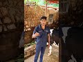 💥 உங்கள் பால் வியாபாரத்துக்கு ஒரு Solution! 💥