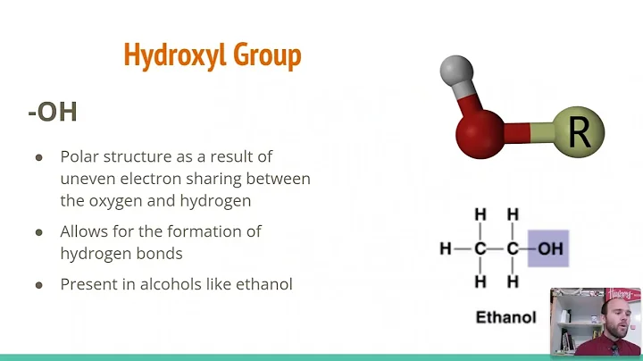 3.1 - Hydrocarbons, Isomers, & Functional Groups