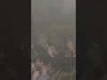 Zedd live #zedd