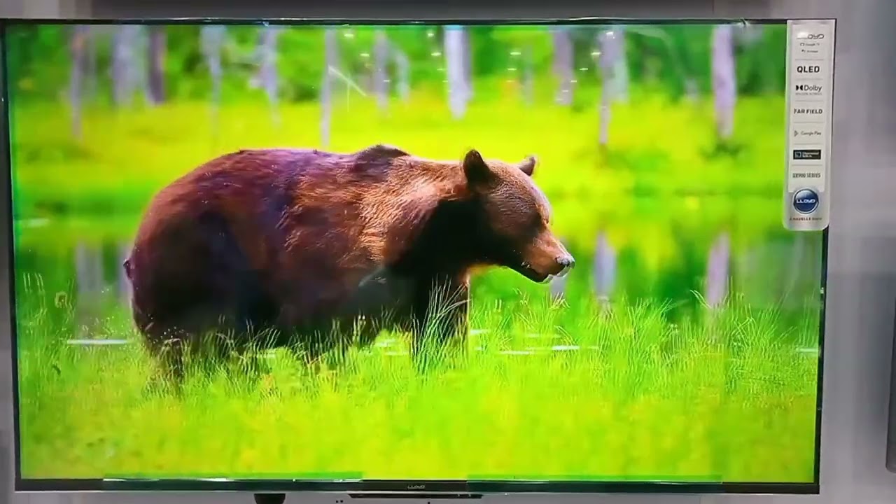 LLOYD's Google Tv/ How to copy pendrive videos in Tv memory....