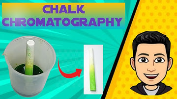 Chalk Chromatography Science Experiment | Practical Experiment