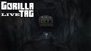 Gorilla tag and fangames (live with viewers)