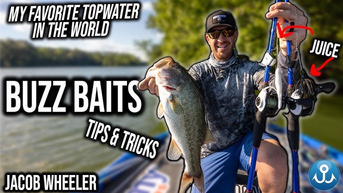 Buzzbait rigging tips from Jacob Wheeler 