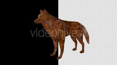 Low Poly Wolf Made Of Wood - Videohide - template stock footage