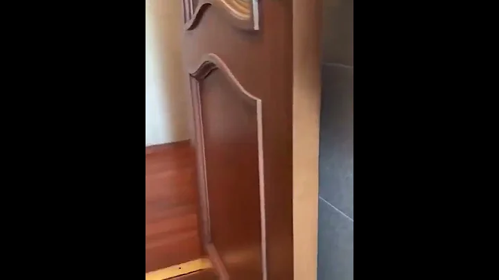 Video 3283361: pets funnycat cutecat animal, pets cutecat funny animals, awesome funny pet animals, funniest cats dogs