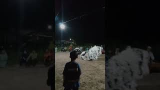 Download Lagu can macanan salto depan belakang MP3