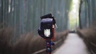 The Bamboo Forest in Kyoto | Japan Photography Vlog