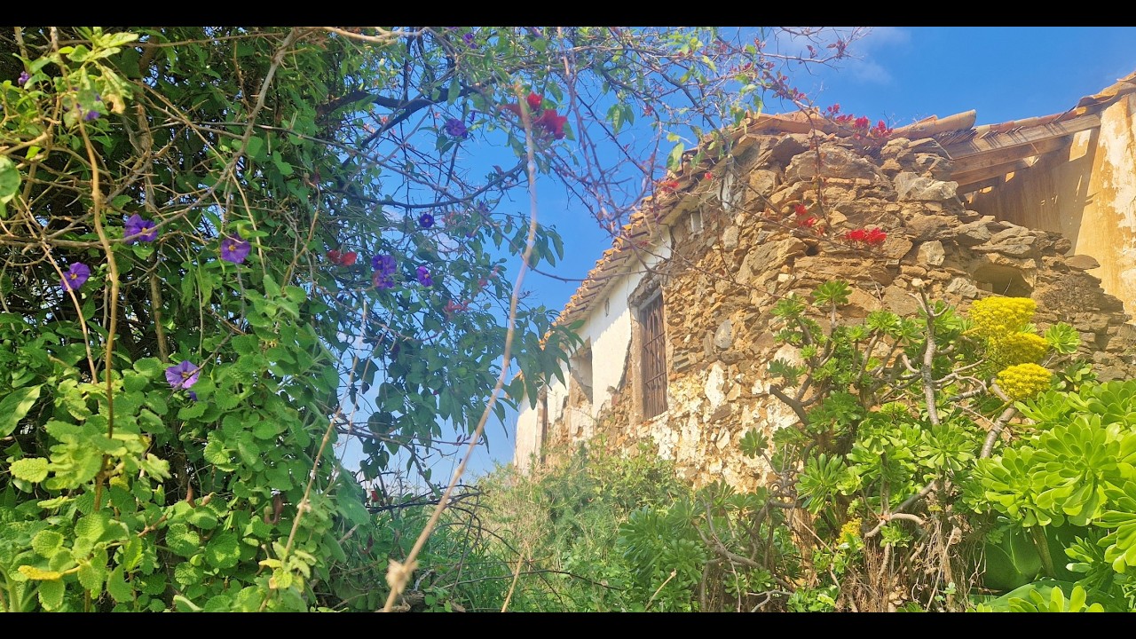 AX1429 - Casa Primavera, Triana, Velez-Malaga