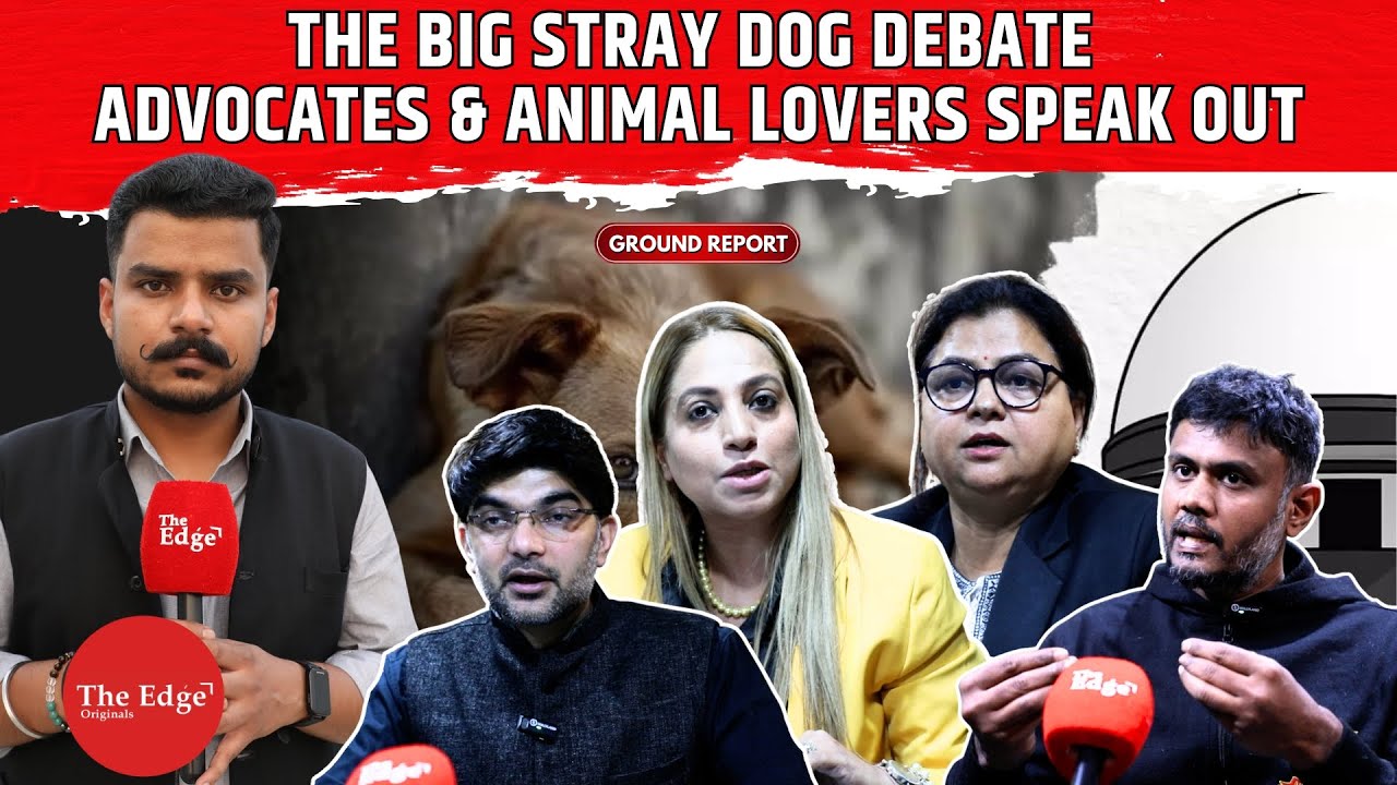 Animal Lovers Speak Up on SC Dog Order