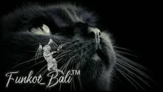 Download lagu DJ 'Tak ingin Lagi Rasanya Ku Bercinta, Setelah Kau Tinggal Pergi!!! Cepat Hilang Corona!!!