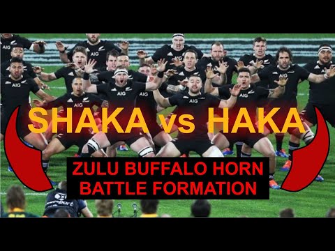 The Springboks Impi? 👍 🏉 👎 The Haka Challenge | Bokke sHaka Impi #springboks #southafrica