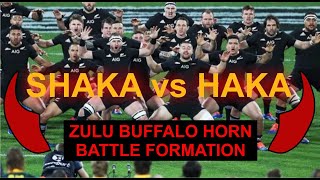 The Springboks Impi π π π The Haka Challenge | Bokke sHaka Impi #springboks #southafrica