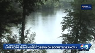 Lamprey treatment in Lake Champlain