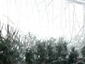 Good Weather for an Airstrike - Aurora