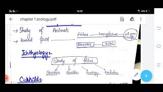 Zoology And Its Major Fields Of Specialization