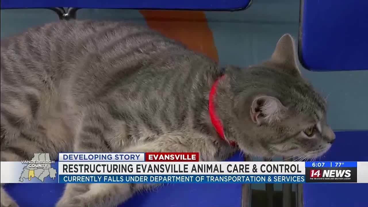 City hopes restructuring Animal Control will improve its services