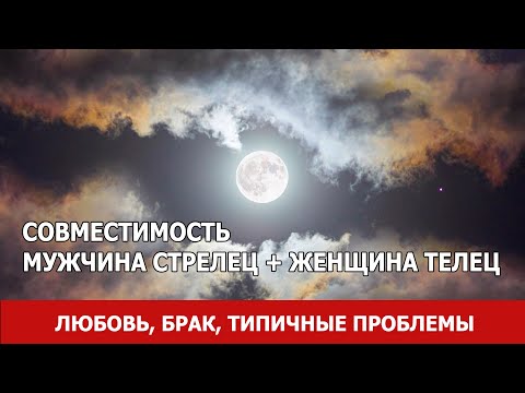 Совместимость мужчины Стрельца и женщины Тельца