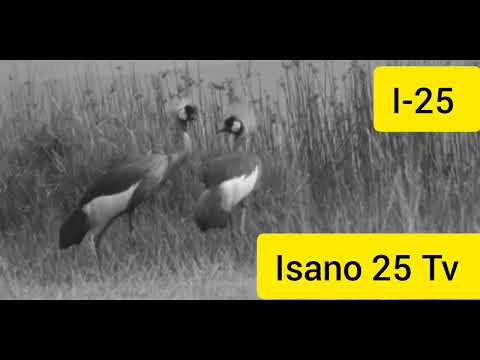 Sindagira Unsange Dusabane Video Lyrics