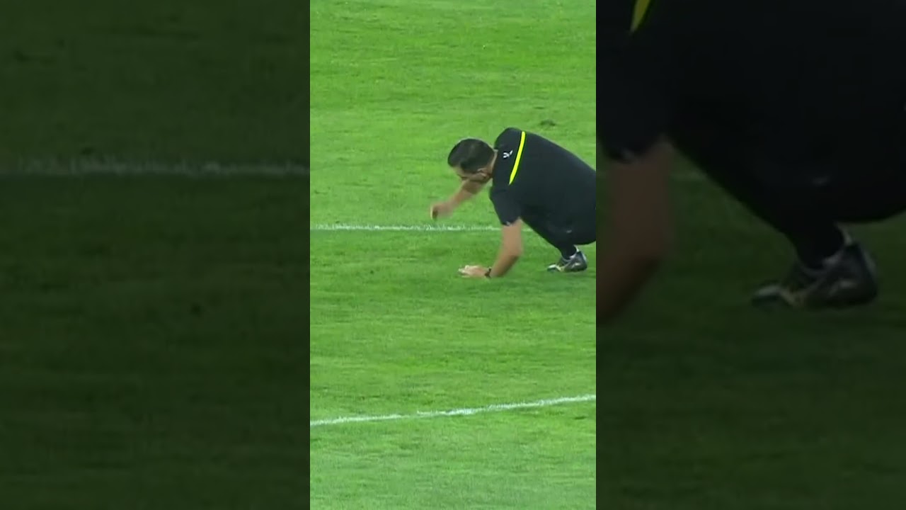 Теперь понятно, почему арбитр показал Мрезиге красную карточку 🟥😂