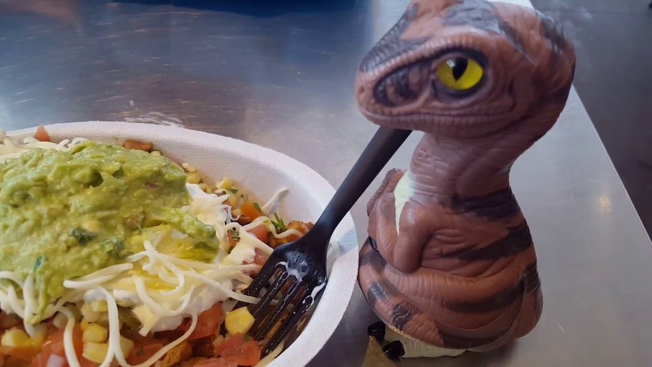 Bob the Raptor - Food Review - Chipotle Mexican Grill Restaurant - YouTube