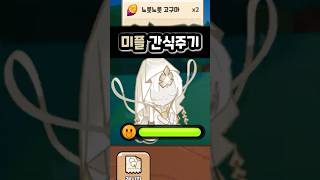 쿠키런킹덤 미스틱플라워 쿠키 간식주기