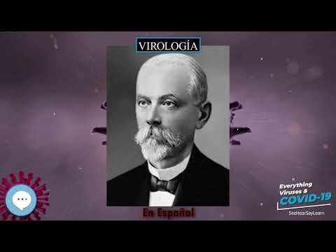 Vídeo: Estany d'Ivanovsky on és? Pesca a l'estany Ivanovsky