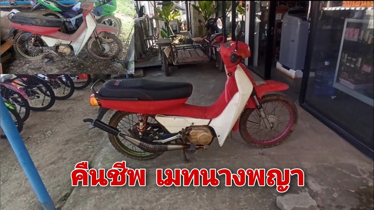 คืนชีพ เมทนางพญา (Yamaha Mate Y100)