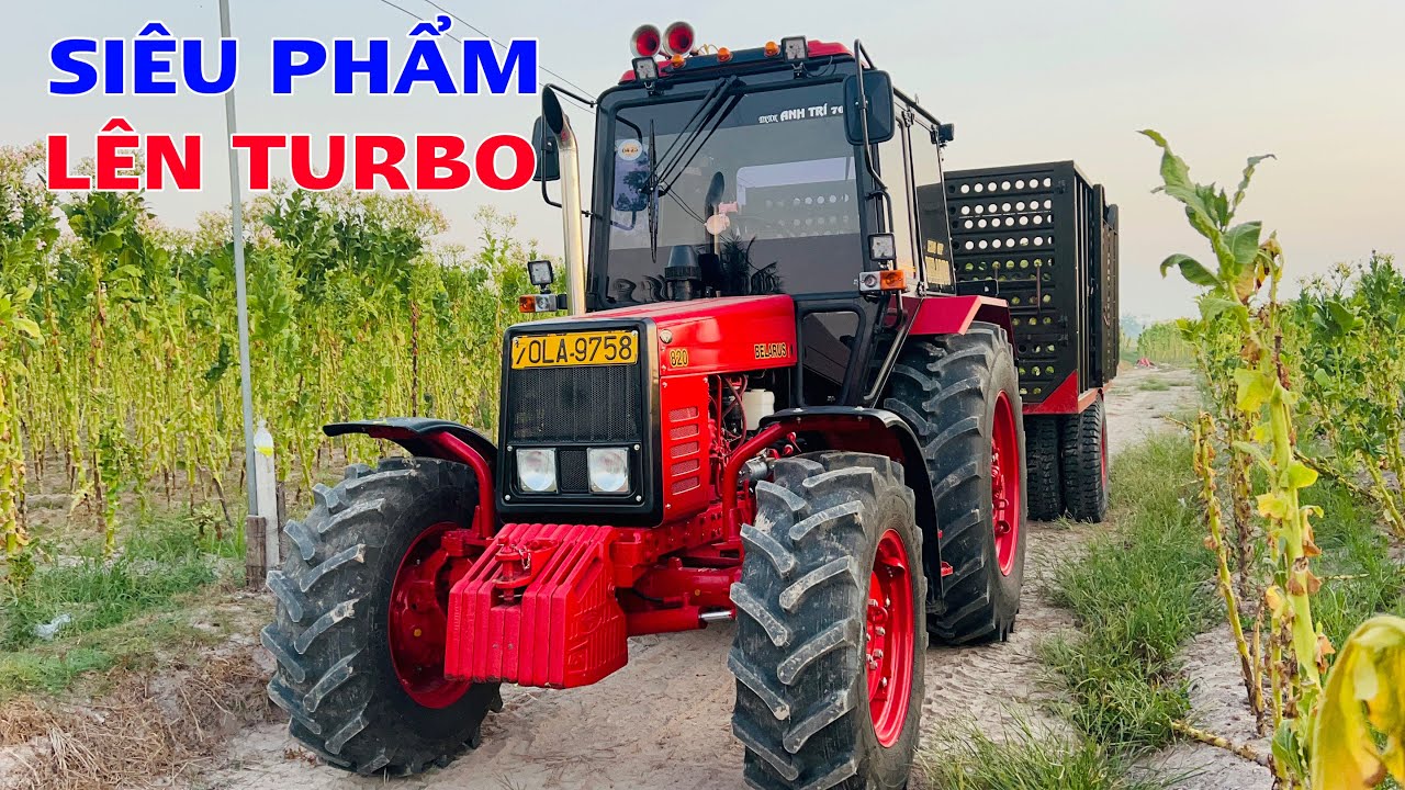 Siêu phẩm máy cày belarus lên turbo chở thuốc lá vàng về lò ở hảo đước châu thành