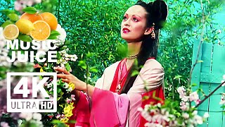 ERASURE "Always" 1994 (4K remastered)