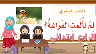 النص الشعري لم تألمت الفراشة؟ رابع ابتدائي. لم تالمت الفراشة