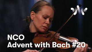 J. S. Bach: Violin Partita No. 1 in B minor, Sarabande & Double // Cam Kjøll, violin