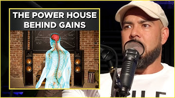 How To BUILD STRENGTH & MUSCLE By Training Your CENTRAL NERVOUS SYSTEM