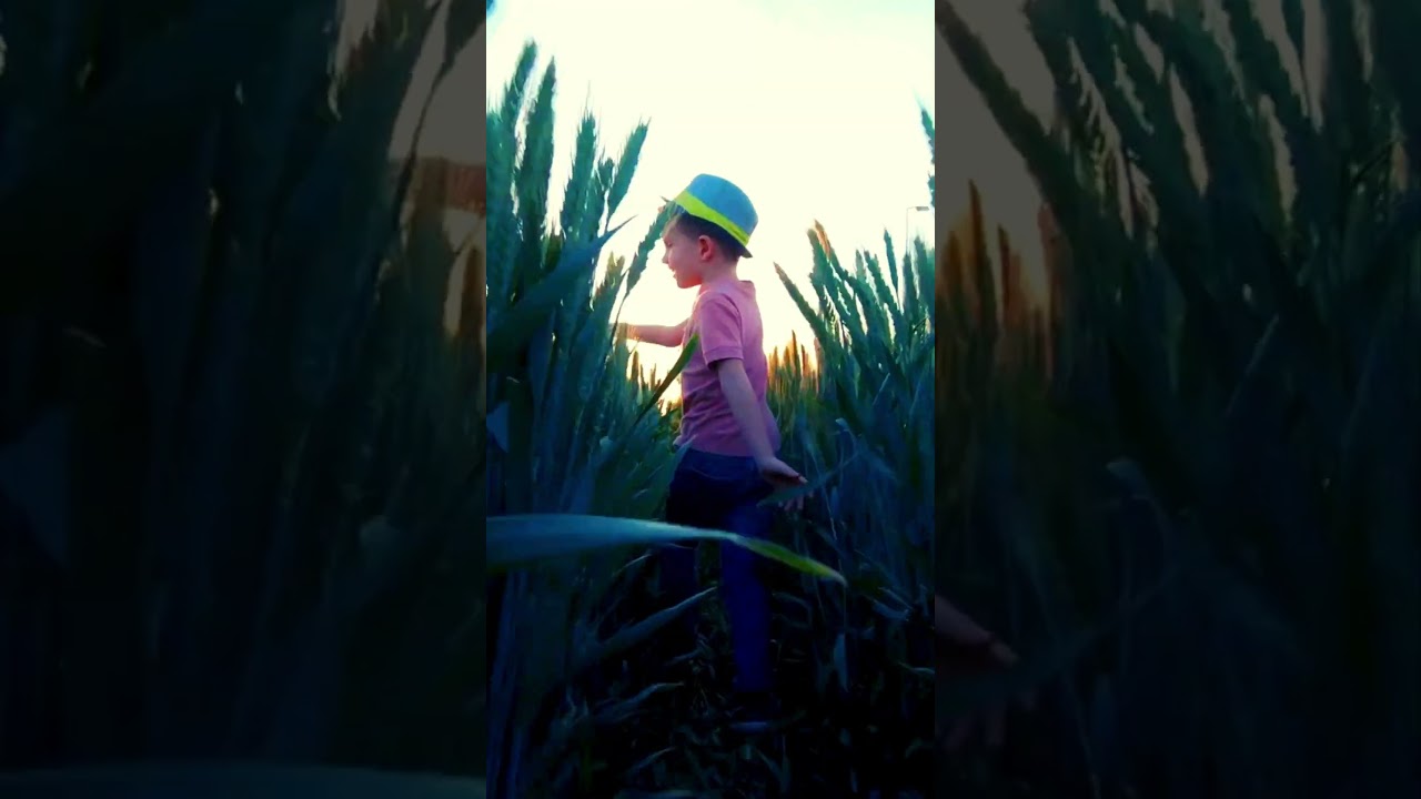 Living By The Stream's “Life Awaits Me” Lyric Video Preview 