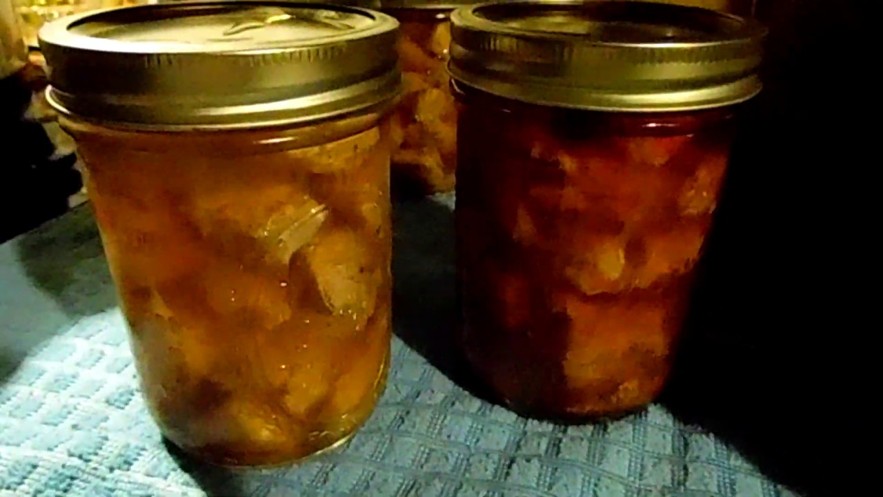 Canning Meat in a Carey/Nesco Canner – Minisliceoffarm