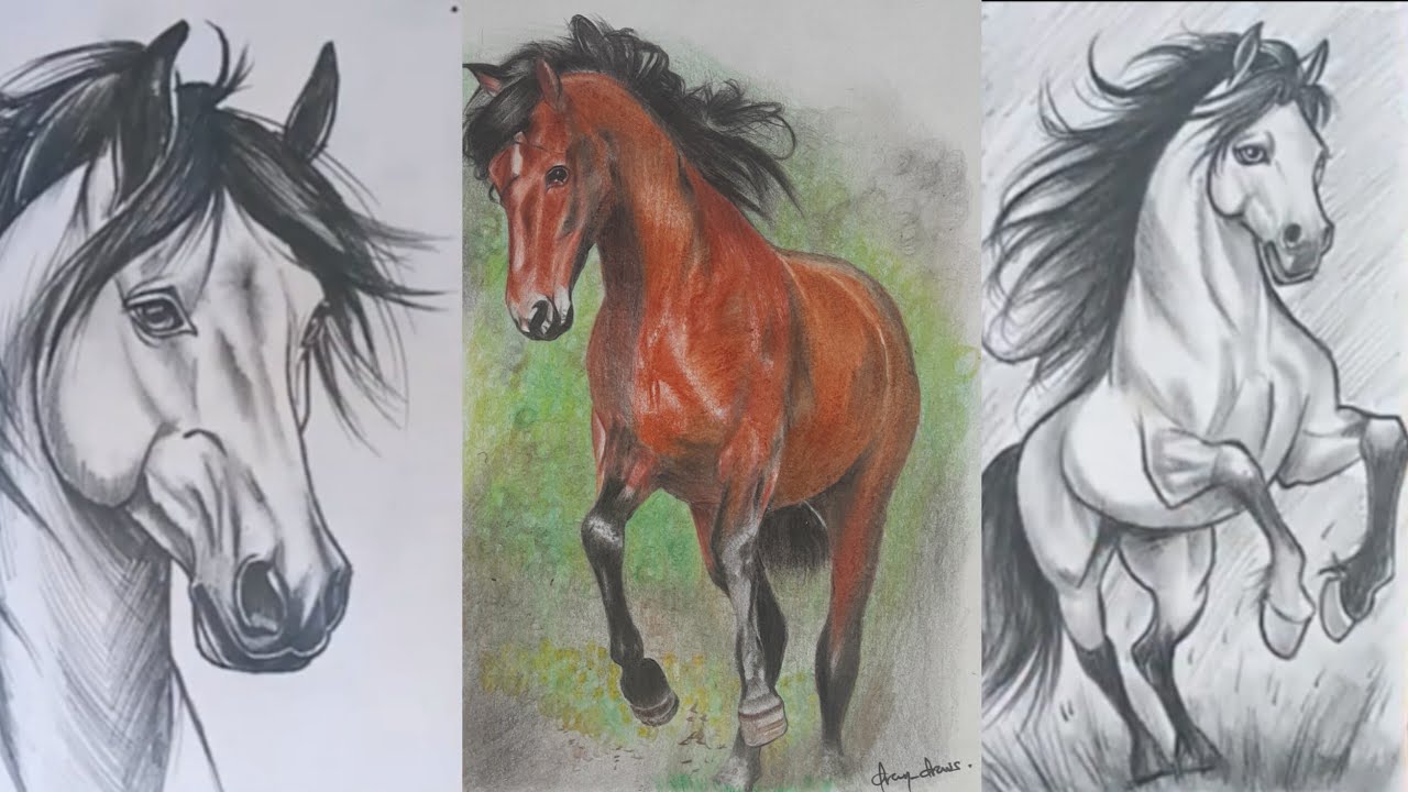 How to Draw 3 Different Horses | Easy Step by Step Drawing Compilation